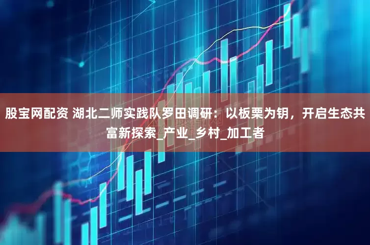 股宝网配资 湖北二师实践队罗田调研：以板栗为钥，开启生态共富新探索_产业_乡村_加工者