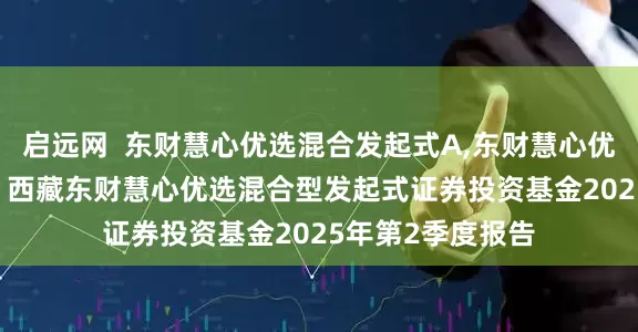启远网  东财慧心优选混合发起式A,东财慧心优选混合发起式C: 西藏东财慧心优选混合型发起式证券投资基金2025年第2季度报告