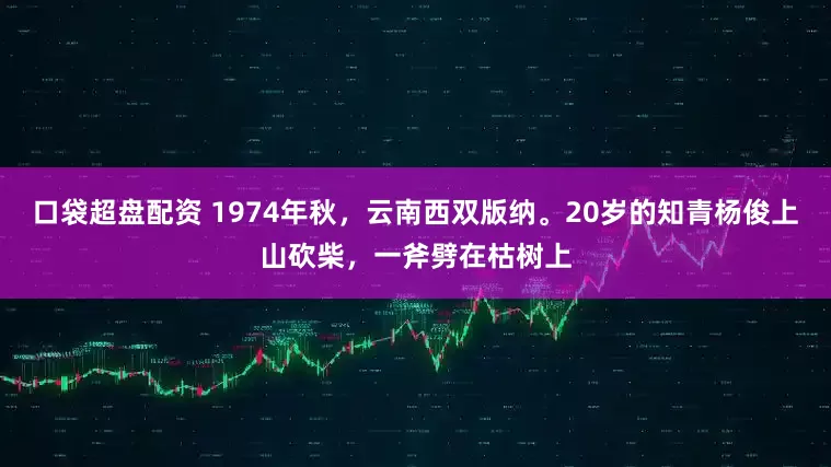 口袋超盘配资 1974年秋，云南西双版纳。20岁的知青杨俊上山砍柴，一斧劈在枯树上